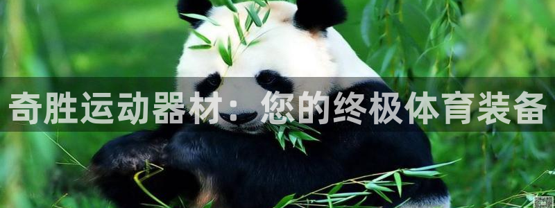 意昂4神州:奇胜运动器材:您的终极体育装备