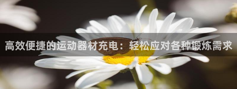 意昂体育4招商电话地址查询:高效便捷的运动器材充电:轻松应对